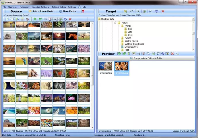 Photo Organizing Software for Windows 10