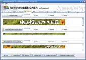 Newsletter Template