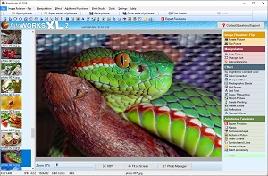 Good Photo Editing Software