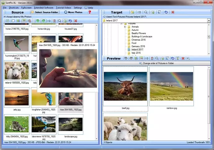 Photo Organizer Software Windows 10